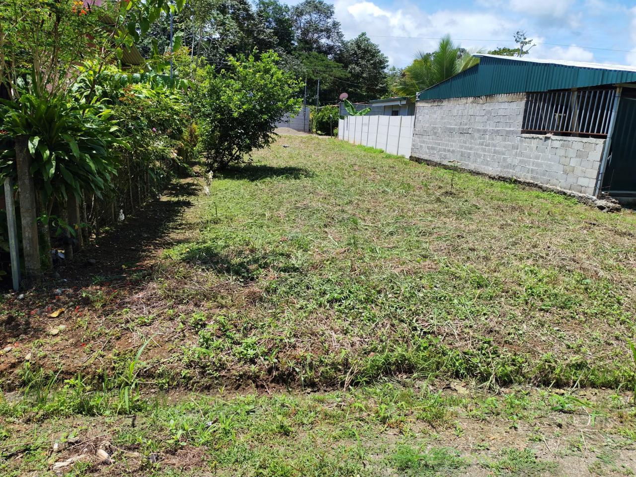 Lote en Puerto Jiménez, Cañaza |...
