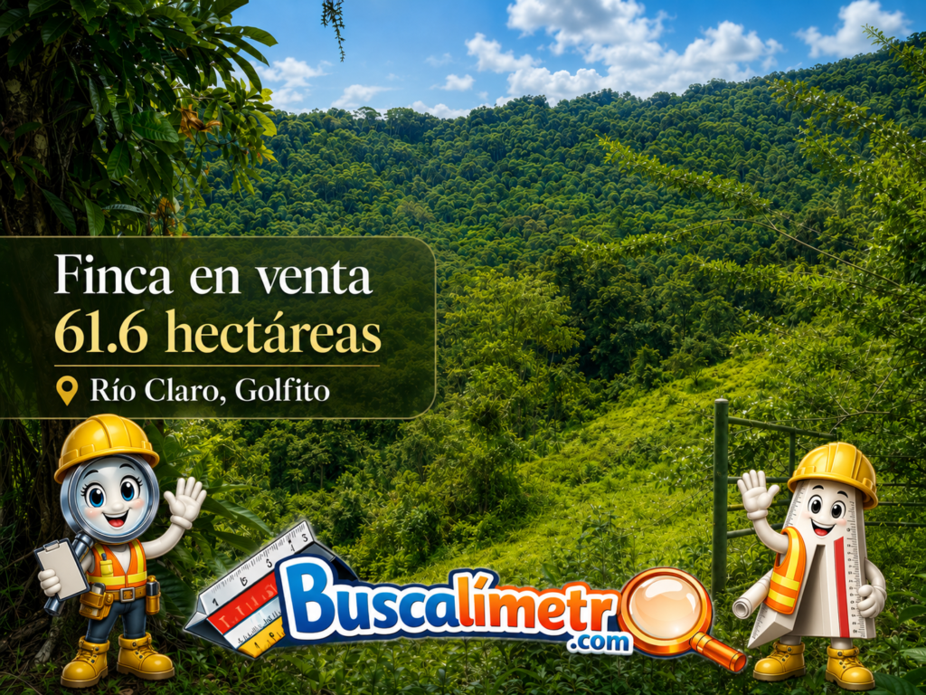 Finca de 61.6 hectáreas en venta...